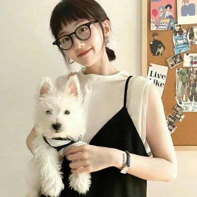 嫌猪手事件簿