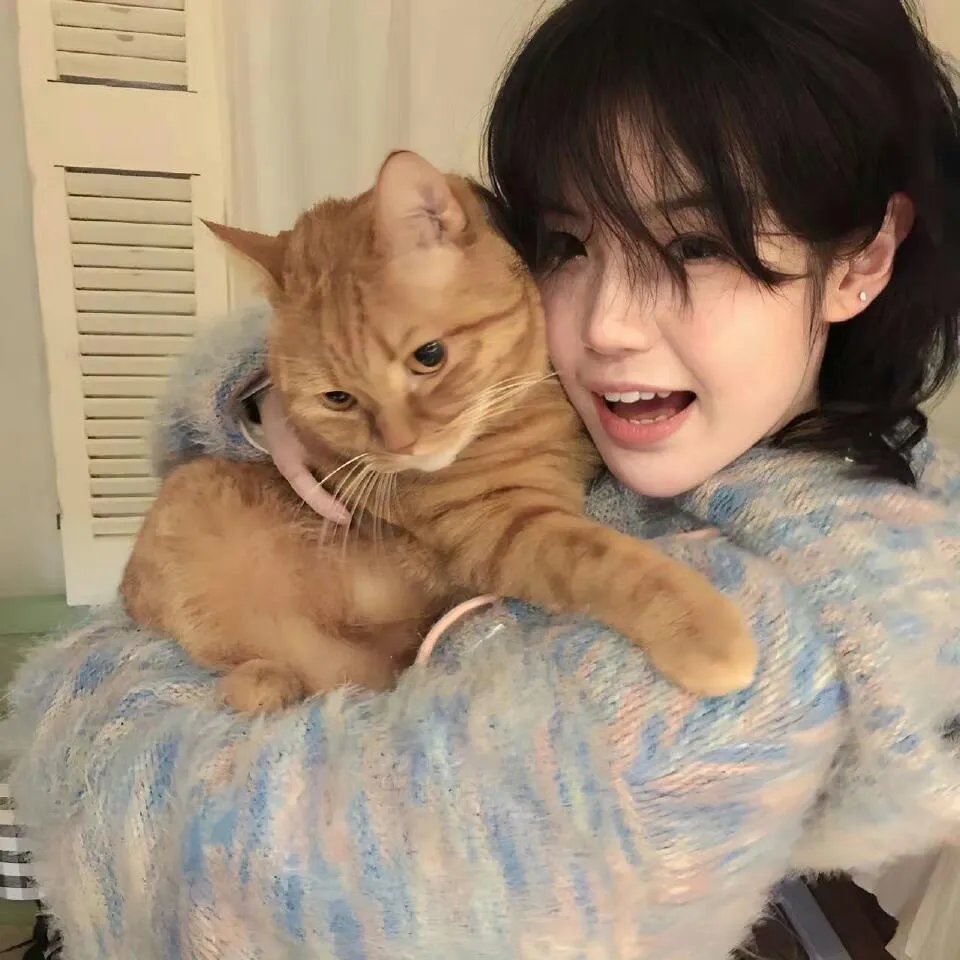 汤姆猫与杰利鼠